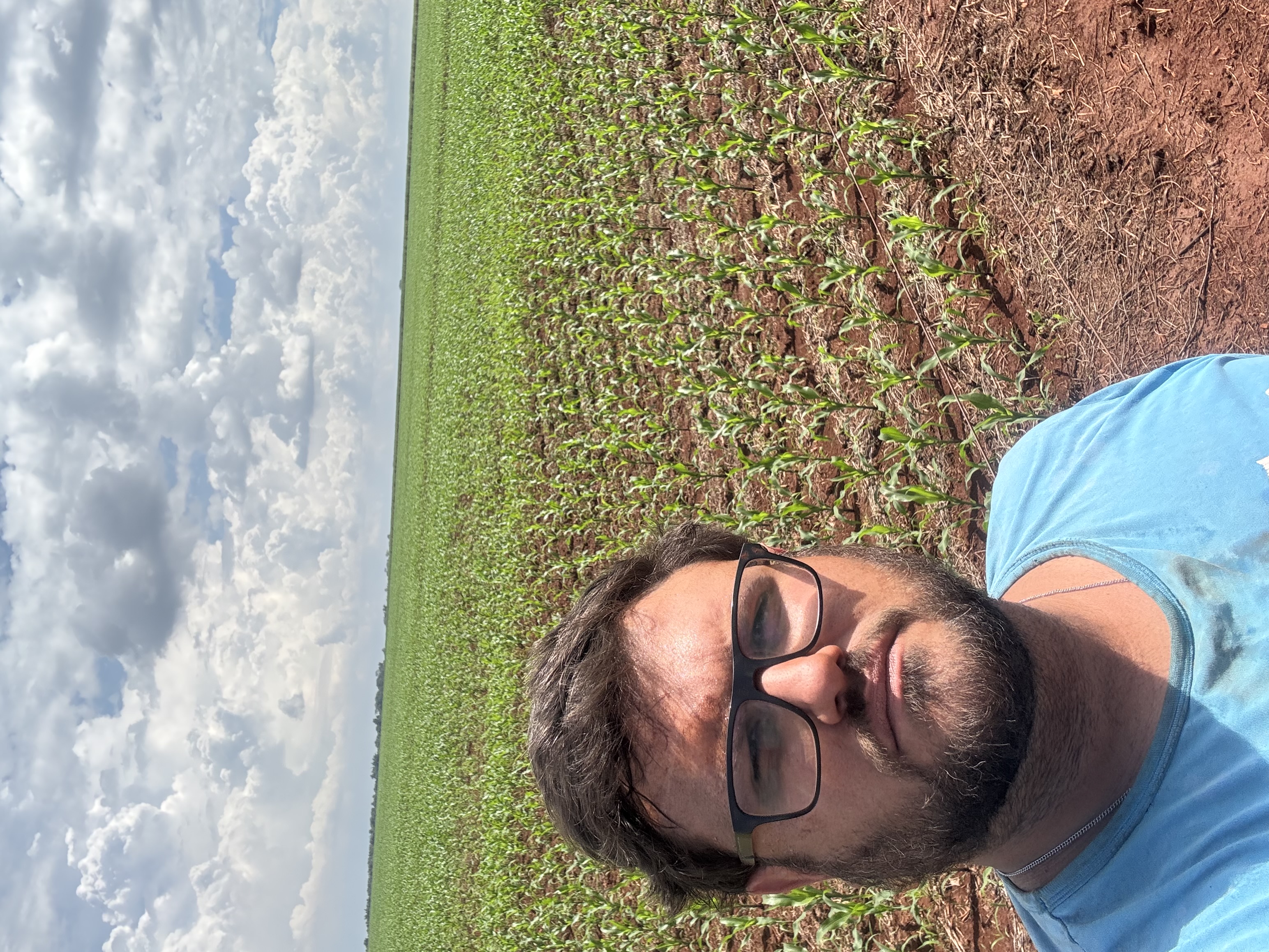 FELYPE ROCHA DE ARAUJO